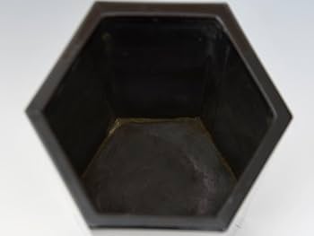 Amazon.co.jp: 船木千舟堂謹製（造）輪島杜若蒔絵花器高さ35